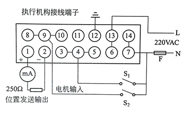 DKZ直行程電動(dòng)執(zhí)行機(jī)構(gòu)接線(xiàn)端子