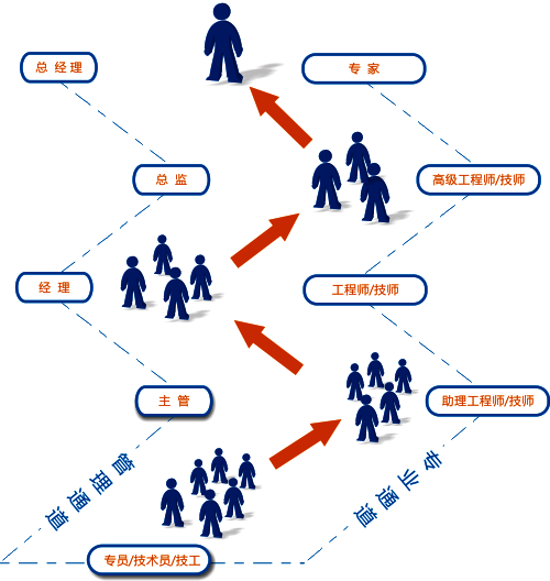 員工職業(yè)發(fā)展之路