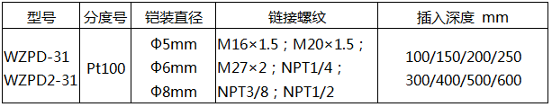 軸承熱電阻WZPD-31技術(shù)參數(shù)