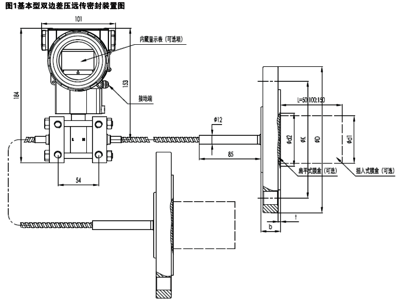 雙法蘭差壓變送器結(jié)構(gòu)示意圖