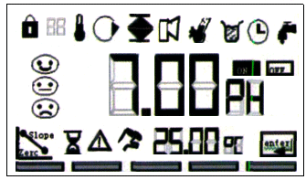 帶象形符號(hào)的APT400系列pH計(jì)顯示面板