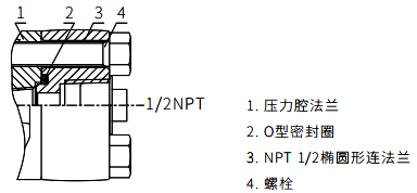 1/2NPT不銹鋼橢圓形法蘭