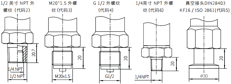 直連式壓力變送器衍生接口形式