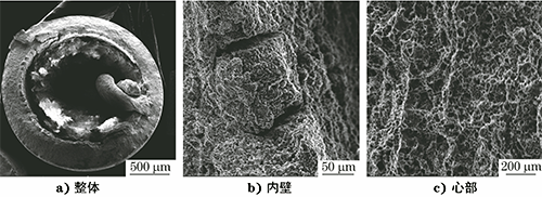 斷裂鎧裝熱電偶保護(hù)管的微觀形貌