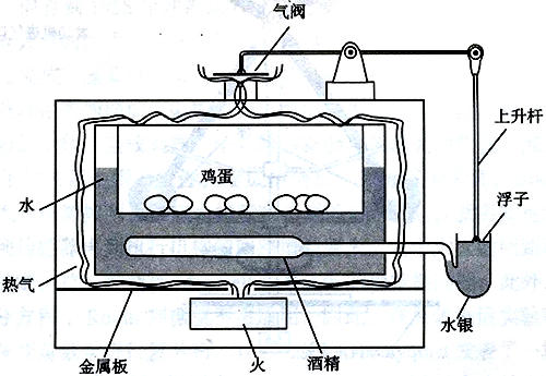 培育箱溫度控制裝置示意圖