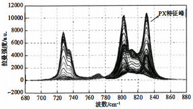 PX濃度不同的96個(gè)混合樣品的拉曼光譜