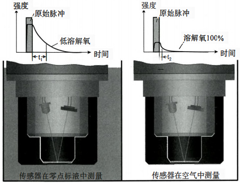 熒光法溶解氧傳感器系統(tǒng)測量原理