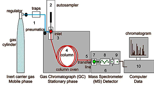 氣相色譜-質(zhì)譜儀簡圖