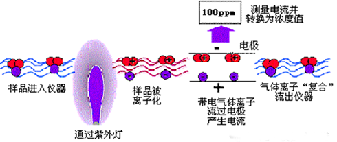 低濃度LEL檢測器工作原理